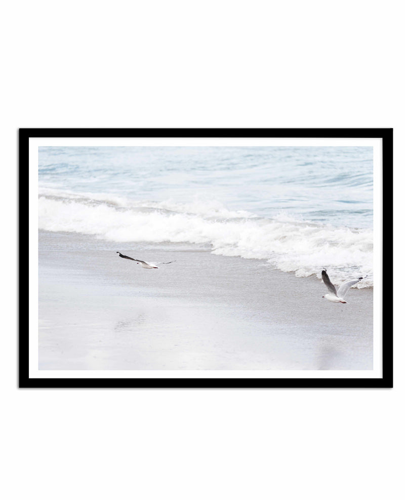 In Flight Art Print-PRINT-Olive et Oriel-Olive et Oriel-A4 | 8.3" x 11.7" | 21 x 29.7cm-Black-With White Border-Buy-Australian-Art-Prints-Online-with-Olive-et-Oriel-Your-Artwork-Specialists-Austrailia-Decorate-With-Coastal-Photo-Wall-Art-Prints-From-Our-Beach-House-Artwork-Collection-Fine-Poster-and-Framed-Artwork