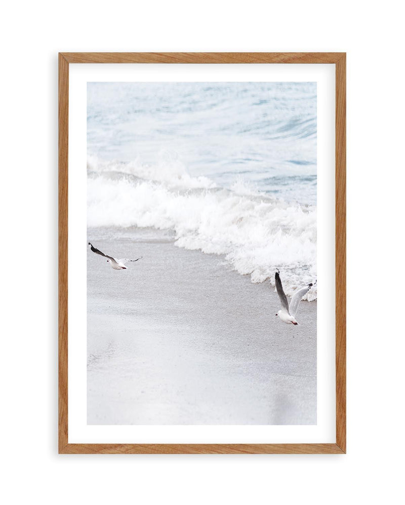 In Flight Art Print | PT-PRINT-Olive et Oriel-Olive et Oriel-50x70 cm | 19.6" x 27.5"-Walnut-With White Border-Buy-Australian-Art-Prints-Online-with-Olive-et-Oriel-Your-Artwork-Specialists-Austrailia-Decorate-With-Coastal-Photo-Wall-Art-Prints-From-Our-Beach-House-Artwork-Collection-Fine-Poster-and-Framed-Artwork