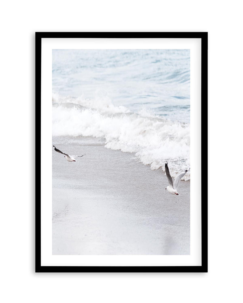 In Flight Art Print | PT-PRINT-Olive et Oriel-Olive et Oriel-A5 | 5.8" x 8.3" | 14.8 x 21cm-Black-With White Border-Buy-Australian-Art-Prints-Online-with-Olive-et-Oriel-Your-Artwork-Specialists-Austrailia-Decorate-With-Coastal-Photo-Wall-Art-Prints-From-Our-Beach-House-Artwork-Collection-Fine-Poster-and-Framed-Artwork