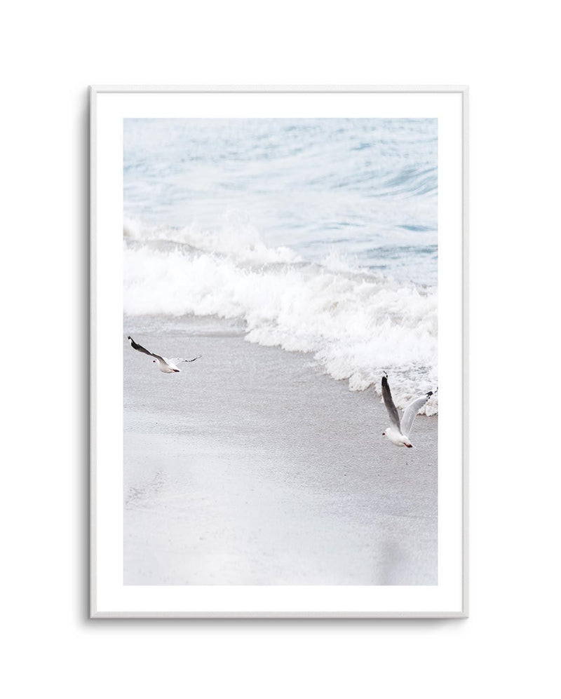 In Flight Art Print | PT-PRINT-Olive et Oriel-Olive et Oriel-A5 | 5.8" x 8.3" | 14.8 x 21cm-Unframed Art Print-With White Border-Buy-Australian-Art-Prints-Online-with-Olive-et-Oriel-Your-Artwork-Specialists-Austrailia-Decorate-With-Coastal-Photo-Wall-Art-Prints-From-Our-Beach-House-Artwork-Collection-Fine-Poster-and-Framed-Artwork