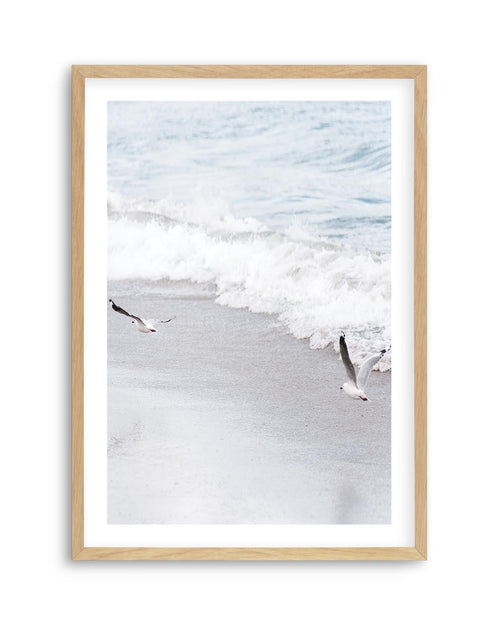 In Flight Art Print | PT-PRINT-Olive et Oriel-Olive et Oriel-A5 | 5.8" x 8.3" | 14.8 x 21cm-Oak-With White Border-Buy-Australian-Art-Prints-Online-with-Olive-et-Oriel-Your-Artwork-Specialists-Austrailia-Decorate-With-Coastal-Photo-Wall-Art-Prints-From-Our-Beach-House-Artwork-Collection-Fine-Poster-and-Framed-Artwork