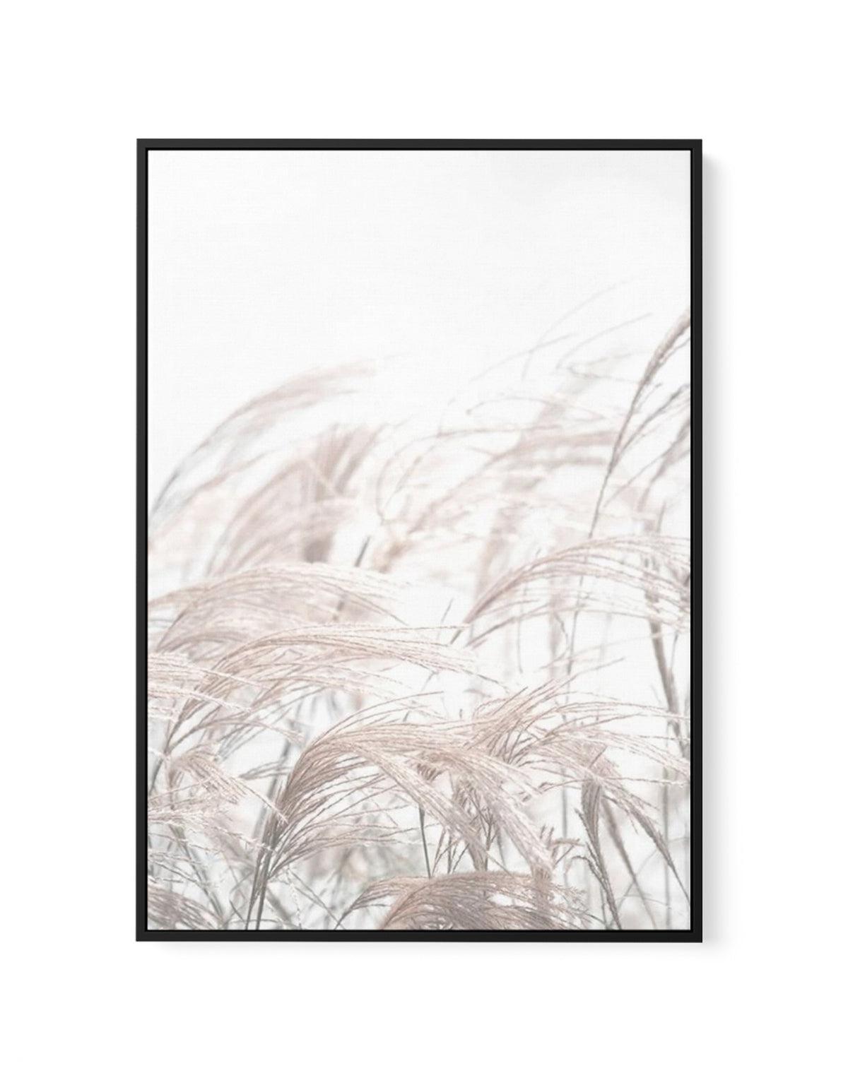 In The Breeze | Framed Canvas-CANVAS-You can shop wall art online with Olive et Oriel for everything from abstract art to fun kids wall art. Our beautiful modern art prints and canvas art are available from large canvas prints to wall art paintings and our proudly Australian artwork collection offers only the highest quality framed large wall art and canvas art Australia - You can buy fashion photography prints or Hampton print posters and paintings on canvas from Olive et Oriel and have them de