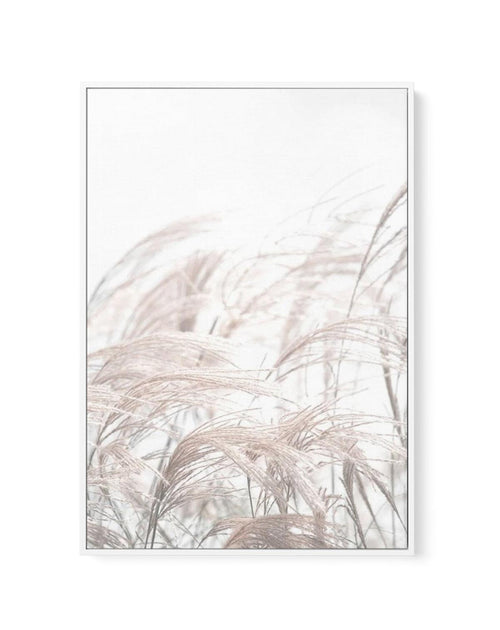 In The Breeze | Framed Canvas-CANVAS-You can shop wall art online with Olive et Oriel for everything from abstract art to fun kids wall art. Our beautiful modern art prints and canvas art are available from large canvas prints to wall art paintings and our proudly Australian artwork collection offers only the highest quality framed large wall art and canvas art Australia - You can buy fashion photography prints or Hampton print posters and paintings on canvas from Olive et Oriel and have them de