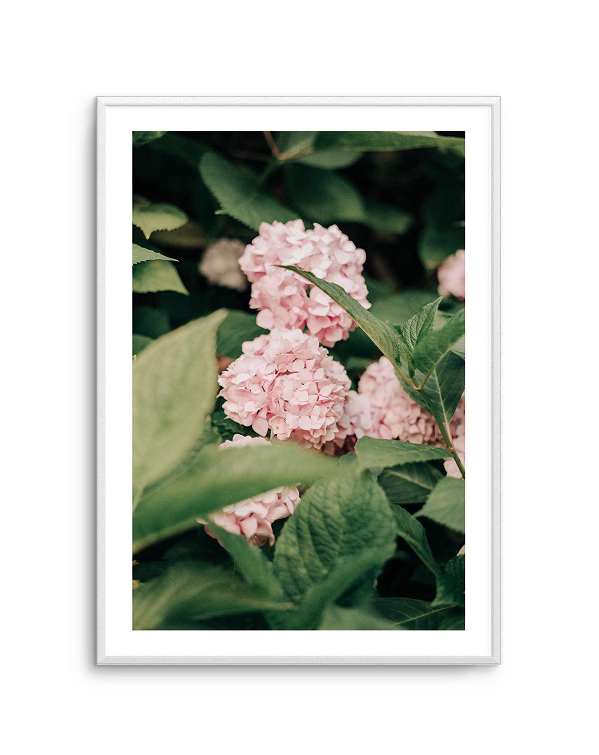 In The Garden Italy by Jovani Demetrie Art Print-PRINT-Olive et Oriel-Jovani Demetrie-Buy-Australian-Art-Prints-Online-with-Olive-et-Oriel-Your-Artwork-Specialists-Austrailia-Decorate-With-Coastal-Photo-Wall-Art-Prints-From-Our-Beach-House-Artwork-Collection-Fine-Poster-and-Framed-Artwork