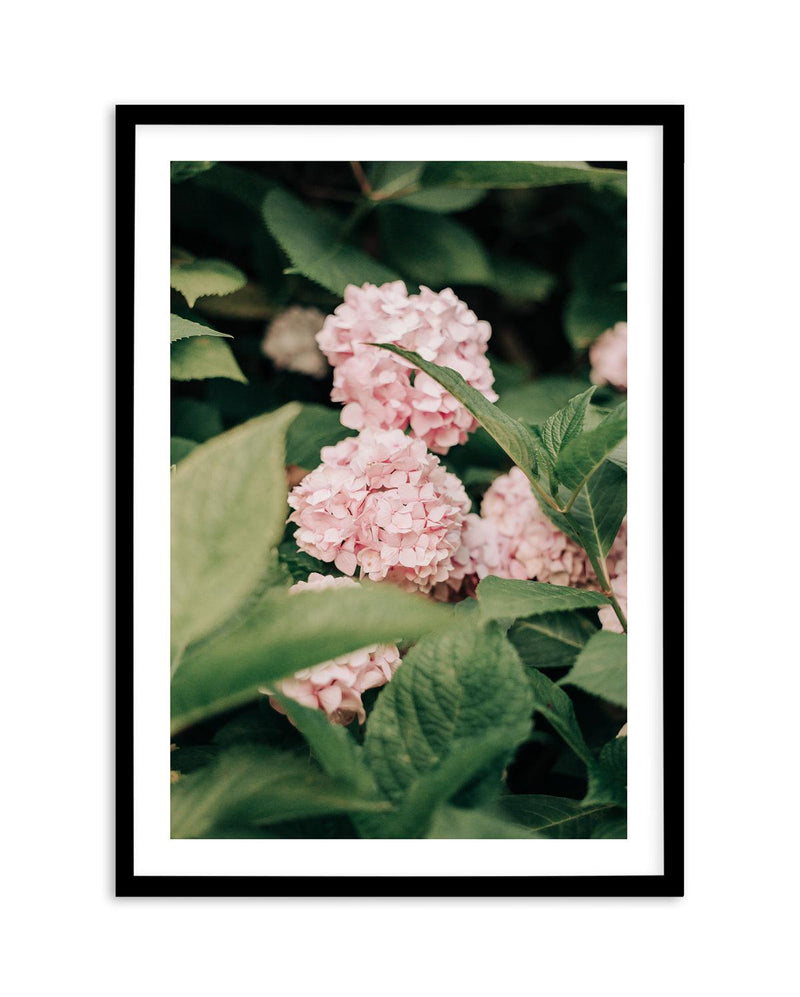 In The Garden Italy by Jovani Demetrie Art Print-PRINT-Olive et Oriel-Jovani Demetrie-Buy-Australian-Art-Prints-Online-with-Olive-et-Oriel-Your-Artwork-Specialists-Austrailia-Decorate-With-Coastal-Photo-Wall-Art-Prints-From-Our-Beach-House-Artwork-Collection-Fine-Poster-and-Framed-Artwork