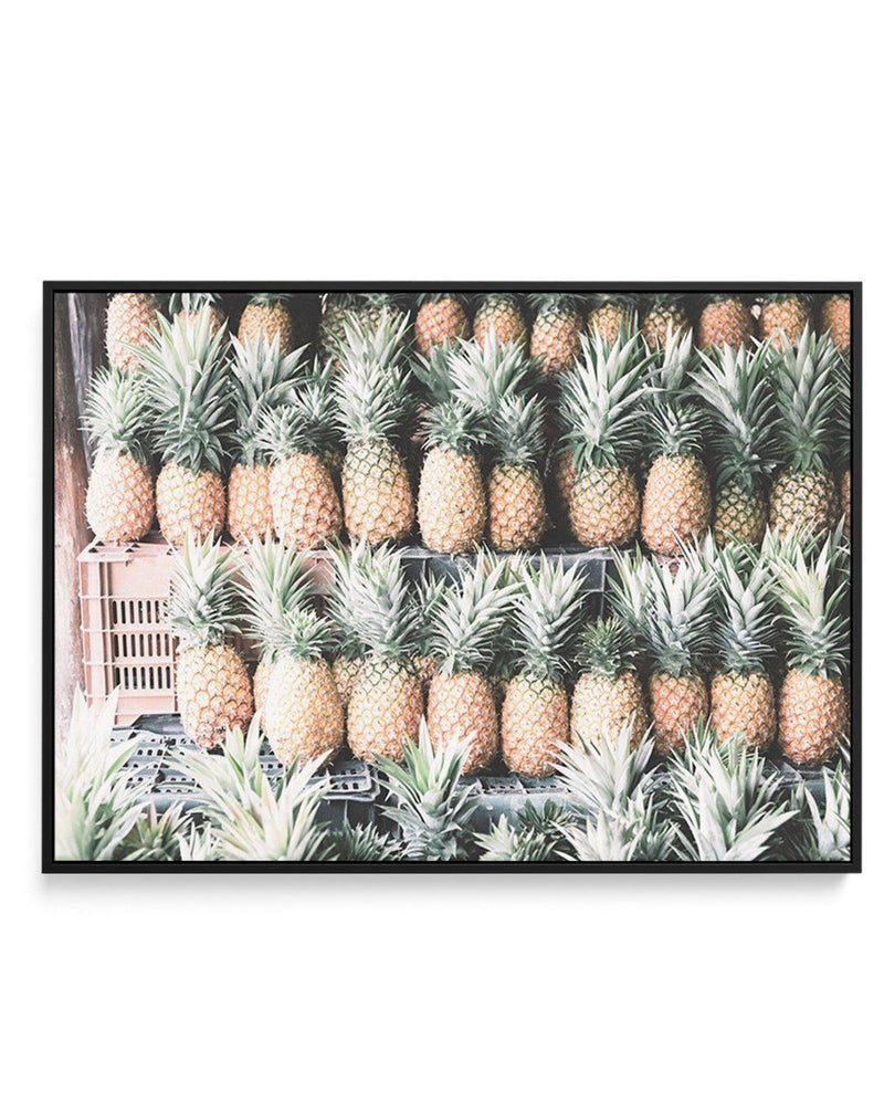 Island Road Trip | Pineapples | Framed Canvas-CANVAS-You can shop wall art online with Olive et Oriel for everything from abstract art to fun kids wall art. Our beautiful modern art prints and canvas art are available from large canvas prints to wall art paintings and our proudly Australian artwork collection offers only the highest quality framed large wall art and canvas art Australia - You can buy fashion photography prints or Hampton print posters and paintings on canvas from Olive et Oriel 