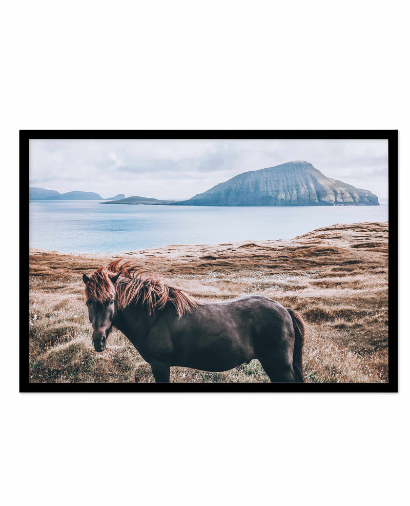 Island Horse Art Print-PRINT-Olive et Oriel-Olive et Oriel-A5 | 5.8" x 8.3" | 14.8 x 21cm-Black-With White Border-Buy-Australian-Art-Prints-Online-with-Olive-et-Oriel-Your-Artwork-Specialists-Austrailia-Decorate-With-Coastal-Photo-Wall-Art-Prints-From-Our-Beach-House-Artwork-Collection-Fine-Poster-and-Framed-Artwork