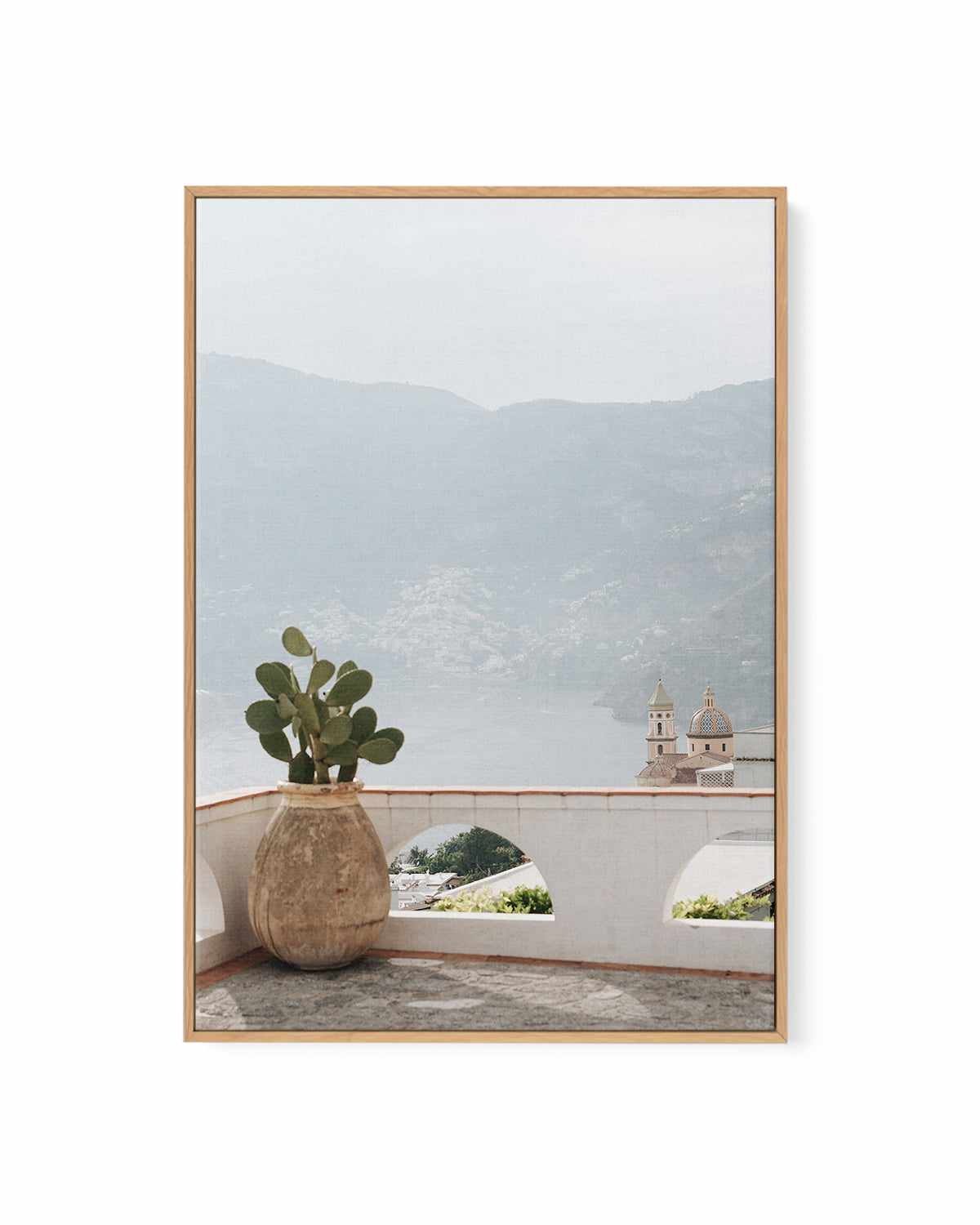 Italian Cactus by Renee Rae | Framed Canvas Art Print