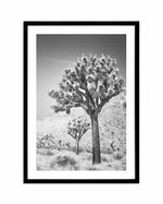 Joshua Tree III | B&W Art Print-PRINT-Olive et Oriel-Olive et Oriel-A4 | 8.3" x 11.7" | 21 x 29.7cm-Black-With White Border-Buy-Australian-Art-Prints-Online-with-Olive-et-Oriel-Your-Artwork-Specialists-Austrailia-Decorate-With-Coastal-Photo-Wall-Art-Prints-From-Our-Beach-House-Artwork-Collection-Fine-Poster-and-Framed-Artwork