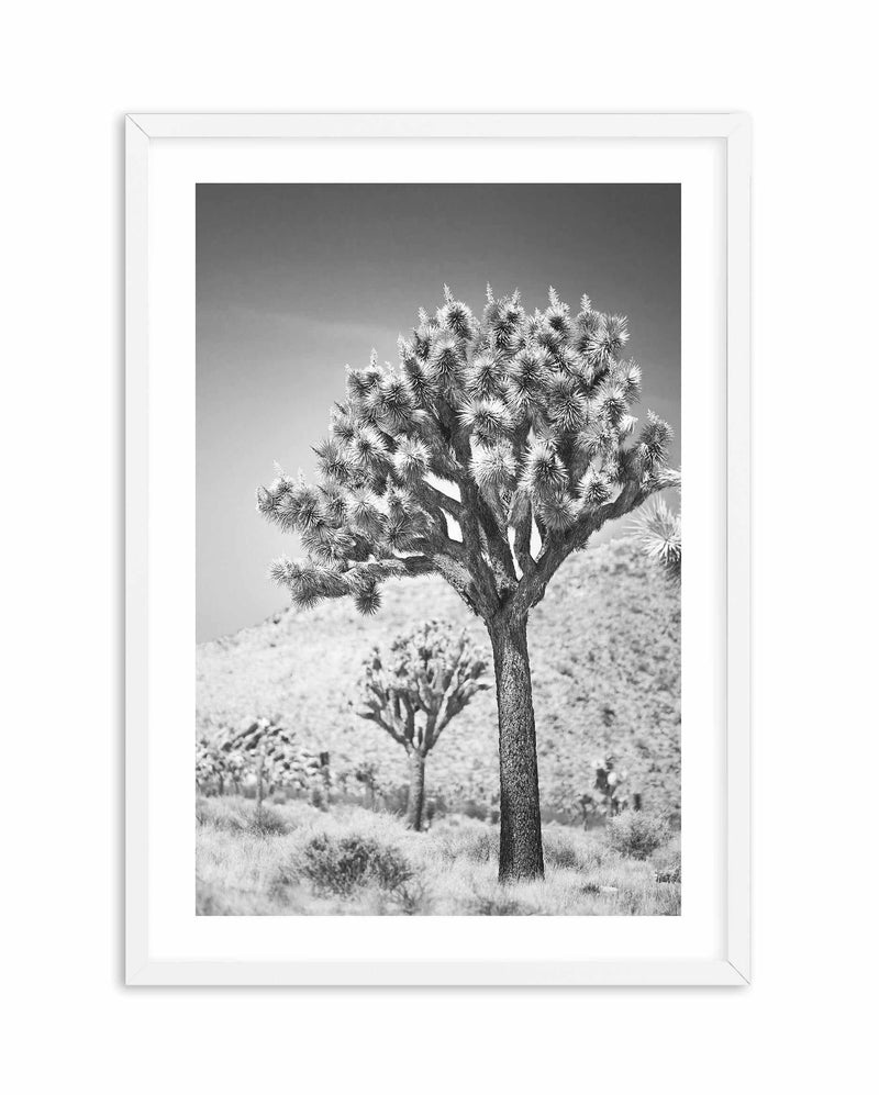 Joshua Tree III | B&W Art Print-PRINT-Olive et Oriel-Olive et Oriel-A4 | 8.3" x 11.7" | 21 x 29.7cm-White-With White Border-Buy-Australian-Art-Prints-Online-with-Olive-et-Oriel-Your-Artwork-Specialists-Austrailia-Decorate-With-Coastal-Photo-Wall-Art-Prints-From-Our-Beach-House-Artwork-Collection-Fine-Poster-and-Framed-Artwork