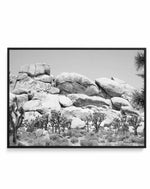 Joshua Tree I | B&W | Framed Canvas-CANVAS-You can shop wall art online with Olive et Oriel for everything from abstract art to fun kids wall art. Our beautiful modern art prints and canvas art are available from large canvas prints to wall art paintings and our proudly Australian artwork collection offers only the highest quality framed large wall art and canvas art Australia - You can buy fashion photography prints or Hampton print posters and paintings on canvas from Olive et Oriel and have t
