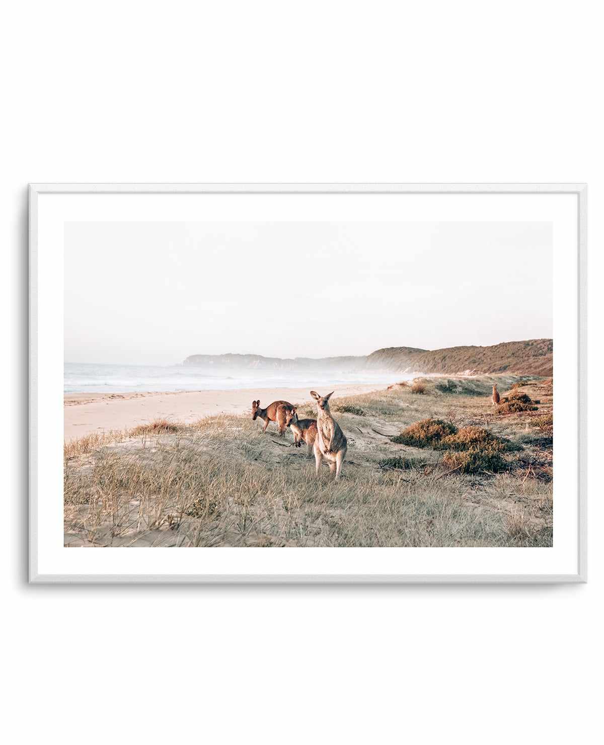 Kangaroos at Dusk Art Print-PRINT-Olive et Oriel-Olive et Oriel-Buy-Australian-Art-Prints-Online-with-Olive-et-Oriel-Your-Artwork-Specialists-Austrailia-Decorate-With-Coastal-Photo-Wall-Art-Prints-From-Our-Beach-House-Artwork-Collection-Fine-Poster-and-Framed-Artwork