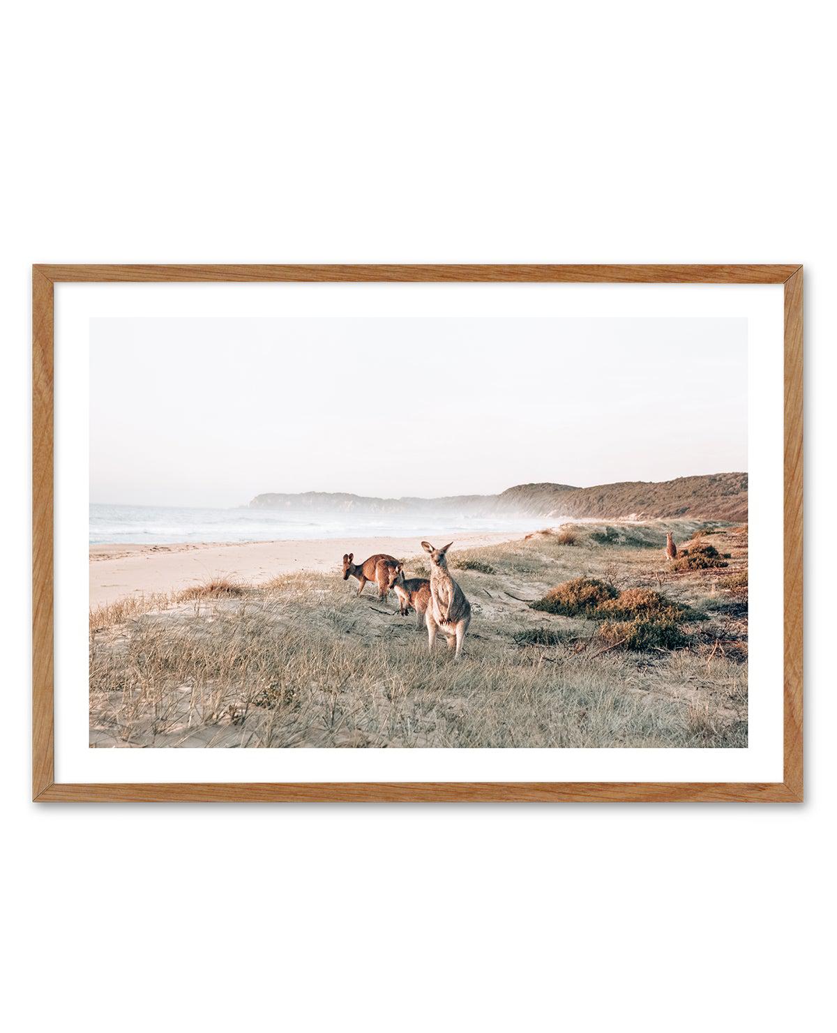 Kangaroos at Dusk Art Print-PRINT-Olive et Oriel-Olive et Oriel-Buy-Australian-Art-Prints-Online-with-Olive-et-Oriel-Your-Artwork-Specialists-Austrailia-Decorate-With-Coastal-Photo-Wall-Art-Prints-From-Our-Beach-House-Artwork-Collection-Fine-Poster-and-Framed-Artwork