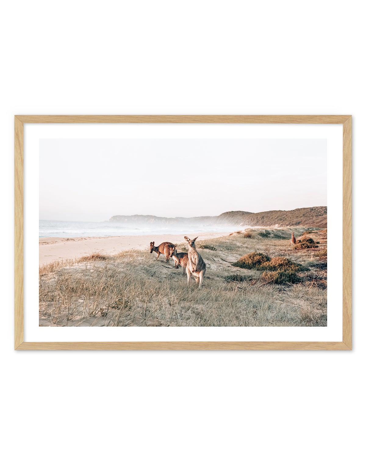 Kangaroos at Dusk Art Print-PRINT-Olive et Oriel-Olive et Oriel-Buy-Australian-Art-Prints-Online-with-Olive-et-Oriel-Your-Artwork-Specialists-Austrailia-Decorate-With-Coastal-Photo-Wall-Art-Prints-From-Our-Beach-House-Artwork-Collection-Fine-Poster-and-Framed-Artwork