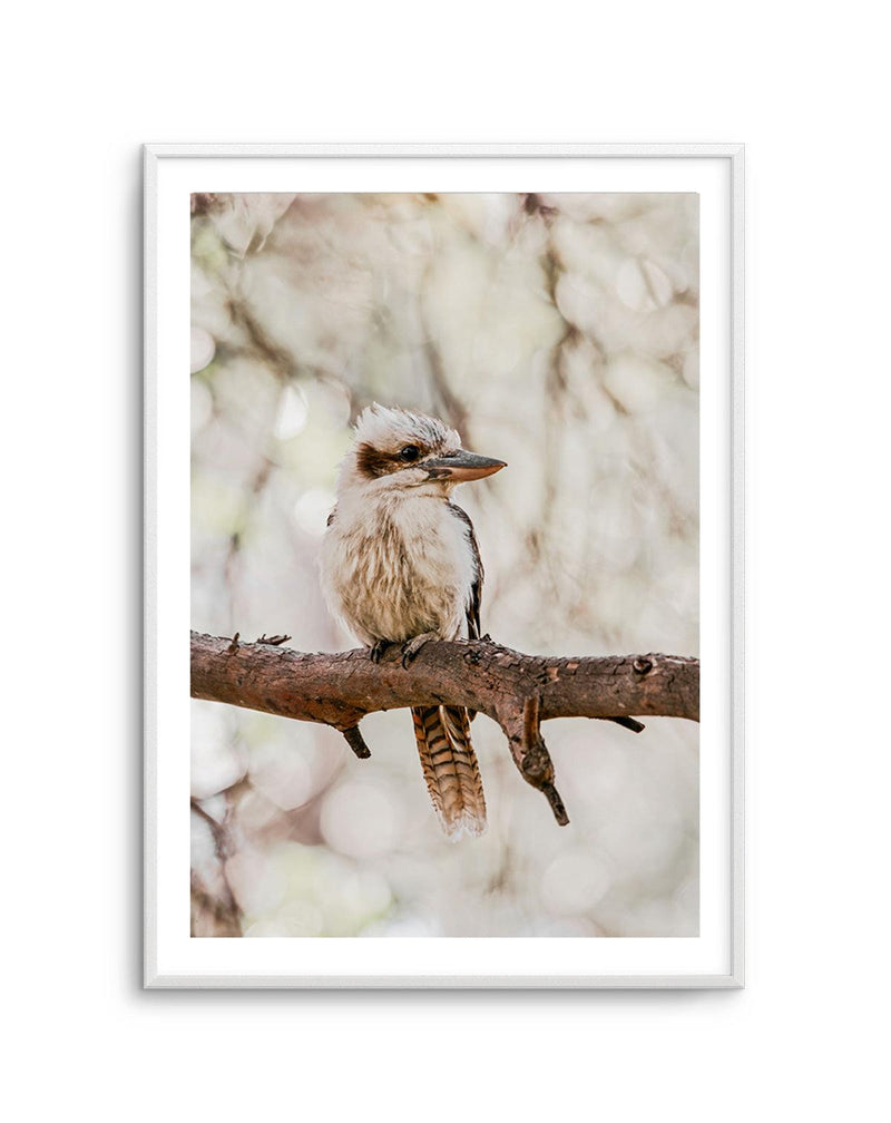 Kookaburras I Art Print-PRINT-Olive et Oriel-Olive et Oriel-Buy-Australian-Art-Prints-Online-with-Olive-et-Oriel-Your-Artwork-Specialists-Austrailia-Decorate-With-Coastal-Photo-Wall-Art-Prints-From-Our-Beach-House-Artwork-Collection-Fine-Poster-and-Framed-Artwork