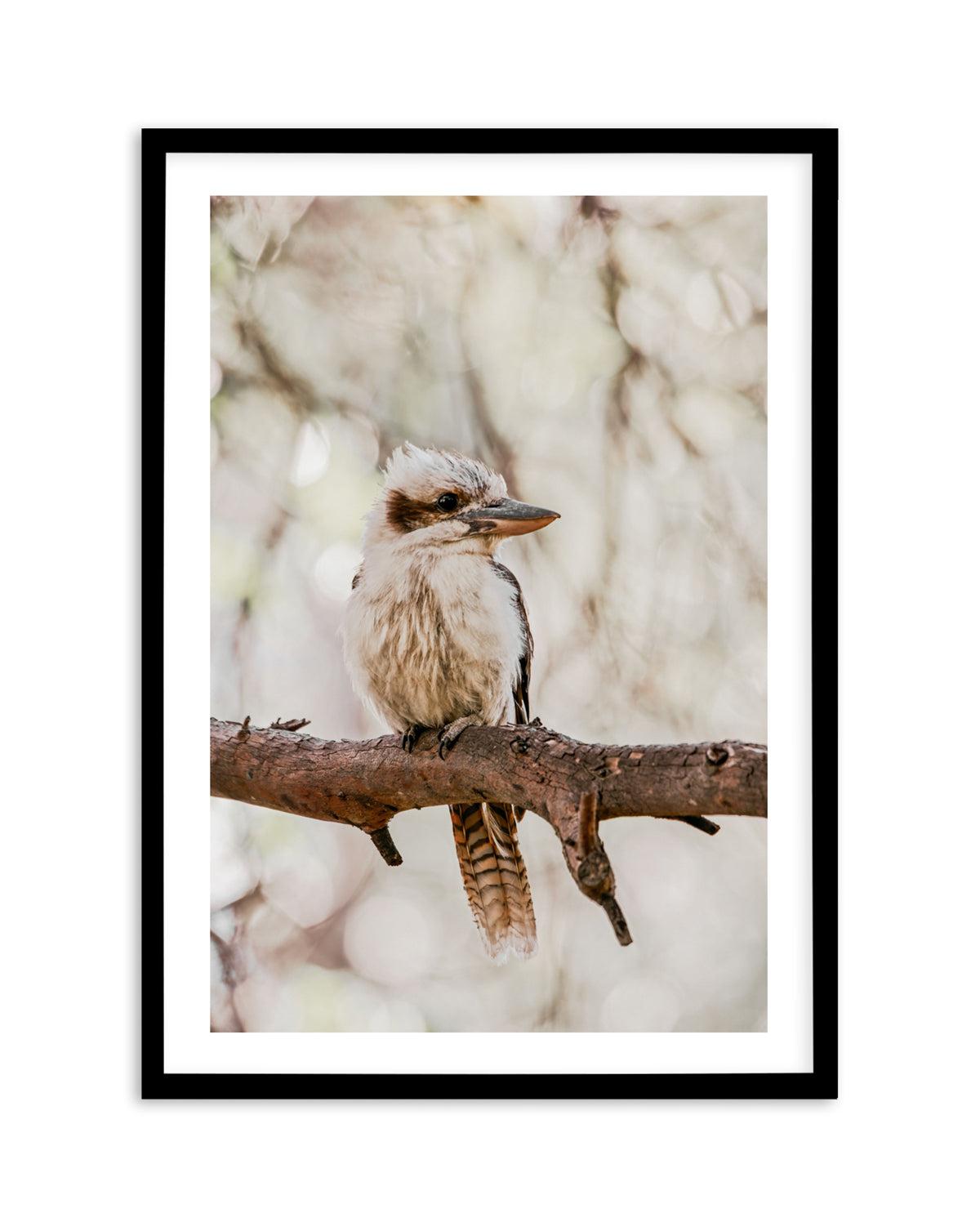 Kookaburras I Art Print-PRINT-Olive et Oriel-Olive et Oriel-A5 | 5.8" x 8.3" | 14.8 x 21cm-Black-With White Border-Buy-Australian-Art-Prints-Online-with-Olive-et-Oriel-Your-Artwork-Specialists-Austrailia-Decorate-With-Coastal-Photo-Wall-Art-Prints-From-Our-Beach-House-Artwork-Collection-Fine-Poster-and-Framed-Artwork