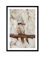 Kookaburras I Art Print-PRINT-Olive et Oriel-Olive et Oriel-A5 | 5.8" x 8.3" | 14.8 x 21cm-Black-With White Border-Buy-Australian-Art-Prints-Online-with-Olive-et-Oriel-Your-Artwork-Specialists-Austrailia-Decorate-With-Coastal-Photo-Wall-Art-Prints-From-Our-Beach-House-Artwork-Collection-Fine-Poster-and-Framed-Artwork