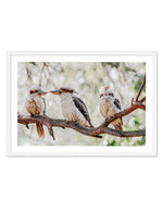 Kookaburras III Art Print-PRINT-Olive et Oriel-Olive et Oriel-A5 | 5.8" x 8.3" | 14.8 x 21cm-White-With White Border-Buy-Australian-Art-Prints-Online-with-Olive-et-Oriel-Your-Artwork-Specialists-Austrailia-Decorate-With-Coastal-Photo-Wall-Art-Prints-From-Our-Beach-House-Artwork-Collection-Fine-Poster-and-Framed-Artwork
