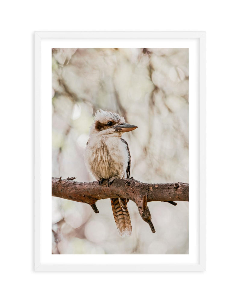 Kookaburras I Art Print-PRINT-Olive et Oriel-Olive et Oriel-A5 | 5.8" x 8.3" | 14.8 x 21cm-White-With White Border-Buy-Australian-Art-Prints-Online-with-Olive-et-Oriel-Your-Artwork-Specialists-Austrailia-Decorate-With-Coastal-Photo-Wall-Art-Prints-From-Our-Beach-House-Artwork-Collection-Fine-Poster-and-Framed-Artwork