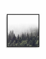 Misty Forest SQ Art Print-PRINT-Olive et Oriel-Olive et Oriel-70x70 cm | 27.5" x 27.5"-Black-With White Border-Buy-Australian-Art-Prints-Online-with-Olive-et-Oriel-Your-Artwork-Specialists-Austrailia-Decorate-With-Coastal-Photo-Wall-Art-Prints-From-Our-Beach-House-Artwork-Collection-Fine-Poster-and-Framed-Artwork