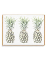 Las Pineapples | Framed Canvas-CANVAS-You can shop wall art online with Olive et Oriel for everything from abstract art to fun kids wall art. Our beautiful modern art prints and canvas art are available from large canvas prints to wall art paintings and our proudly Australian artwork collection offers only the highest quality framed large wall art and canvas art Australia - You can buy fashion photography prints or Hampton print posters and paintings on canvas from Olive et Oriel and have them d