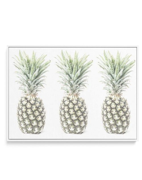 Las Pineapples | Framed Canvas-CANVAS-You can shop wall art online with Olive et Oriel for everything from abstract art to fun kids wall art. Our beautiful modern art prints and canvas art are available from large canvas prints to wall art paintings and our proudly Australian artwork collection offers only the highest quality framed large wall art and canvas art Australia - You can buy fashion photography prints or Hampton print posters and paintings on canvas from Olive et Oriel and have them d