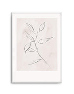 Le Jardin in Charcoal I Art Print-PRINT-Olive et Oriel-Olive et Oriel-A5 | 5.8" x 8.3" | 14.8 x 21cm-Unframed Art Print-With White Border-Buy-Australian-Art-Prints-Online-with-Olive-et-Oriel-Your-Artwork-Specialists-Austrailia-Decorate-With-Coastal-Photo-Wall-Art-Prints-From-Our-Beach-House-Artwork-Collection-Fine-Poster-and-Framed-Artwork