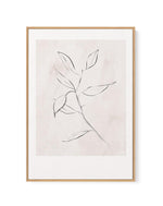 Le Jardin in Charcoal I | Framed Canvas-CANVAS-You can shop wall art online with Olive et Oriel for everything from abstract art to fun kids wall art. Our beautiful modern art prints and canvas art are available from large canvas prints to wall art paintings and our proudly Australian artwork collection offers only the highest quality framed large wall art and canvas art Australia - You can buy fashion photography prints or Hampton print posters and paintings on canvas from Olive et Oriel and ha