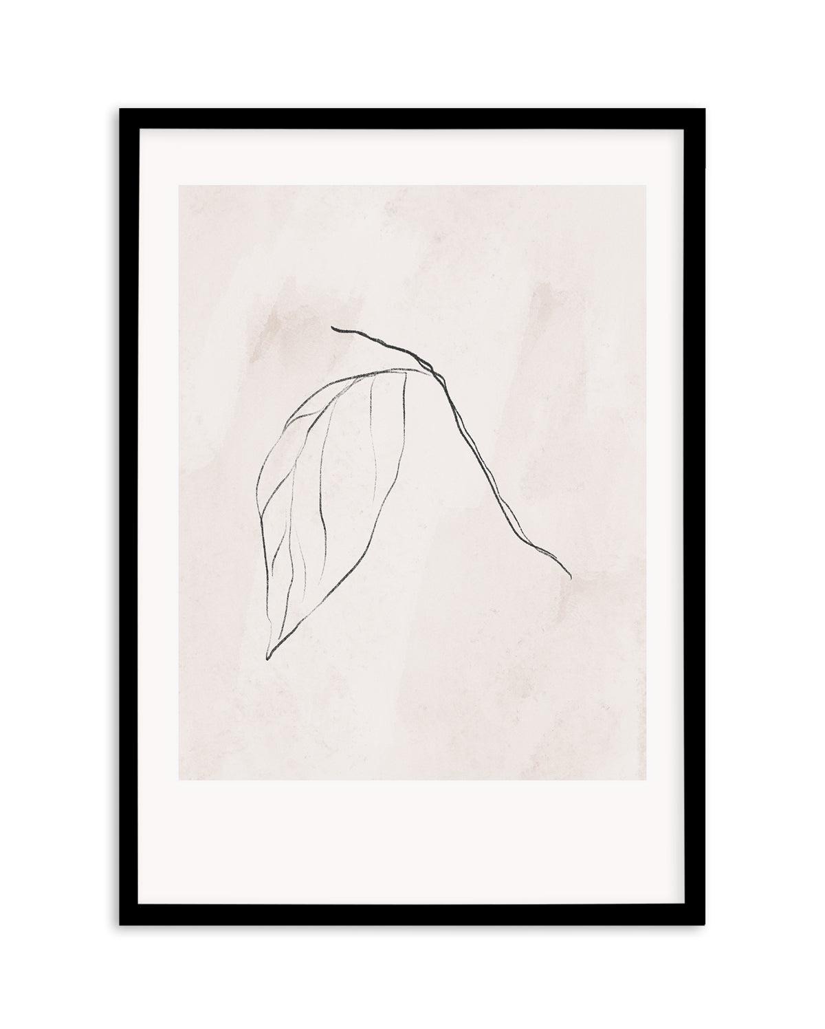 Le Jardin in Charcoal II Art Print-PRINT-Olive et Oriel-Olive et Oriel-Buy-Australian-Art-Prints-Online-with-Olive-et-Oriel-Your-Artwork-Specialists-Austrailia-Decorate-With-Coastal-Photo-Wall-Art-Prints-From-Our-Beach-House-Artwork-Collection-Fine-Poster-and-Framed-Artwork