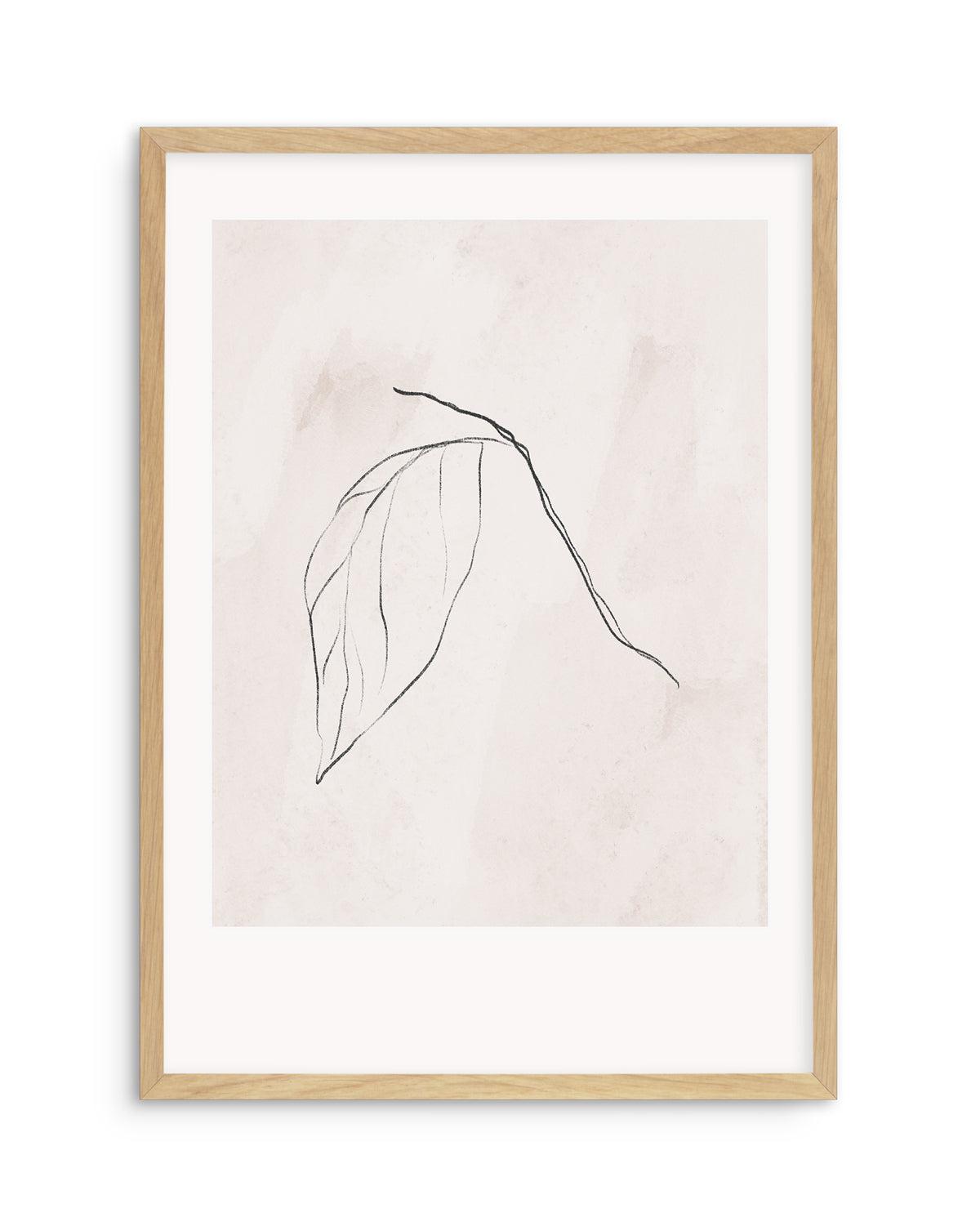 Le Jardin in Charcoal II Art Print-PRINT-Olive et Oriel-Olive et Oriel-Buy-Australian-Art-Prints-Online-with-Olive-et-Oriel-Your-Artwork-Specialists-Austrailia-Decorate-With-Coastal-Photo-Wall-Art-Prints-From-Our-Beach-House-Artwork-Collection-Fine-Poster-and-Framed-Artwork