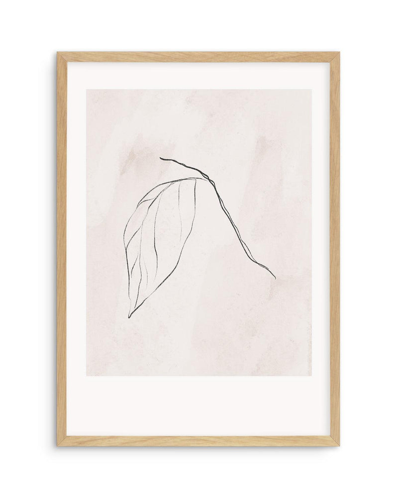 Le Jardin in Charcoal II Art Print-PRINT-Olive et Oriel-Olive et Oriel-Buy-Australian-Art-Prints-Online-with-Olive-et-Oriel-Your-Artwork-Specialists-Austrailia-Decorate-With-Coastal-Photo-Wall-Art-Prints-From-Our-Beach-House-Artwork-Collection-Fine-Poster-and-Framed-Artwork