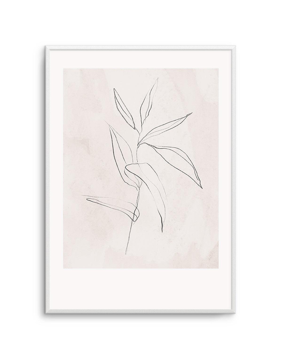 Le Jardin in Charcoal III Art Print-PRINT-Olive et Oriel-Olive et Oriel-Buy-Australian-Art-Prints-Online-with-Olive-et-Oriel-Your-Artwork-Specialists-Austrailia-Decorate-With-Coastal-Photo-Wall-Art-Prints-From-Our-Beach-House-Artwork-Collection-Fine-Poster-and-Framed-Artwork