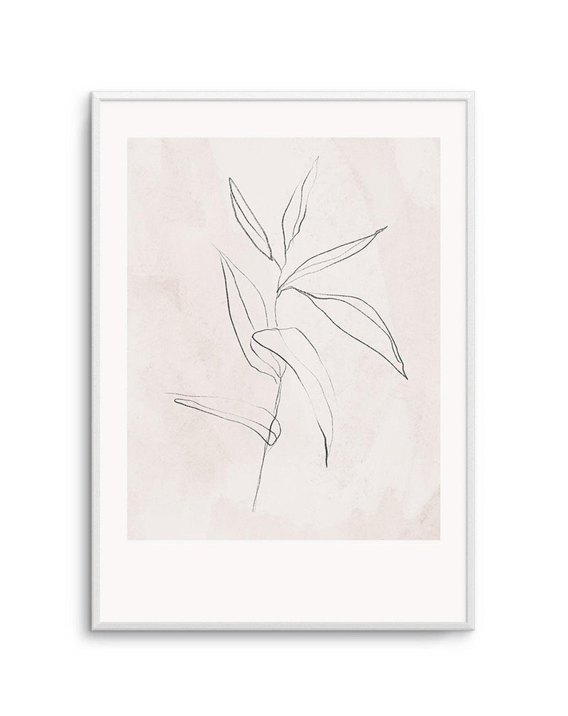 Le Jardin in Charcoal III Art Print-PRINT-Olive et Oriel-Olive et Oriel-Buy-Australian-Art-Prints-Online-with-Olive-et-Oriel-Your-Artwork-Specialists-Austrailia-Decorate-With-Coastal-Photo-Wall-Art-Prints-From-Our-Beach-House-Artwork-Collection-Fine-Poster-and-Framed-Artwork