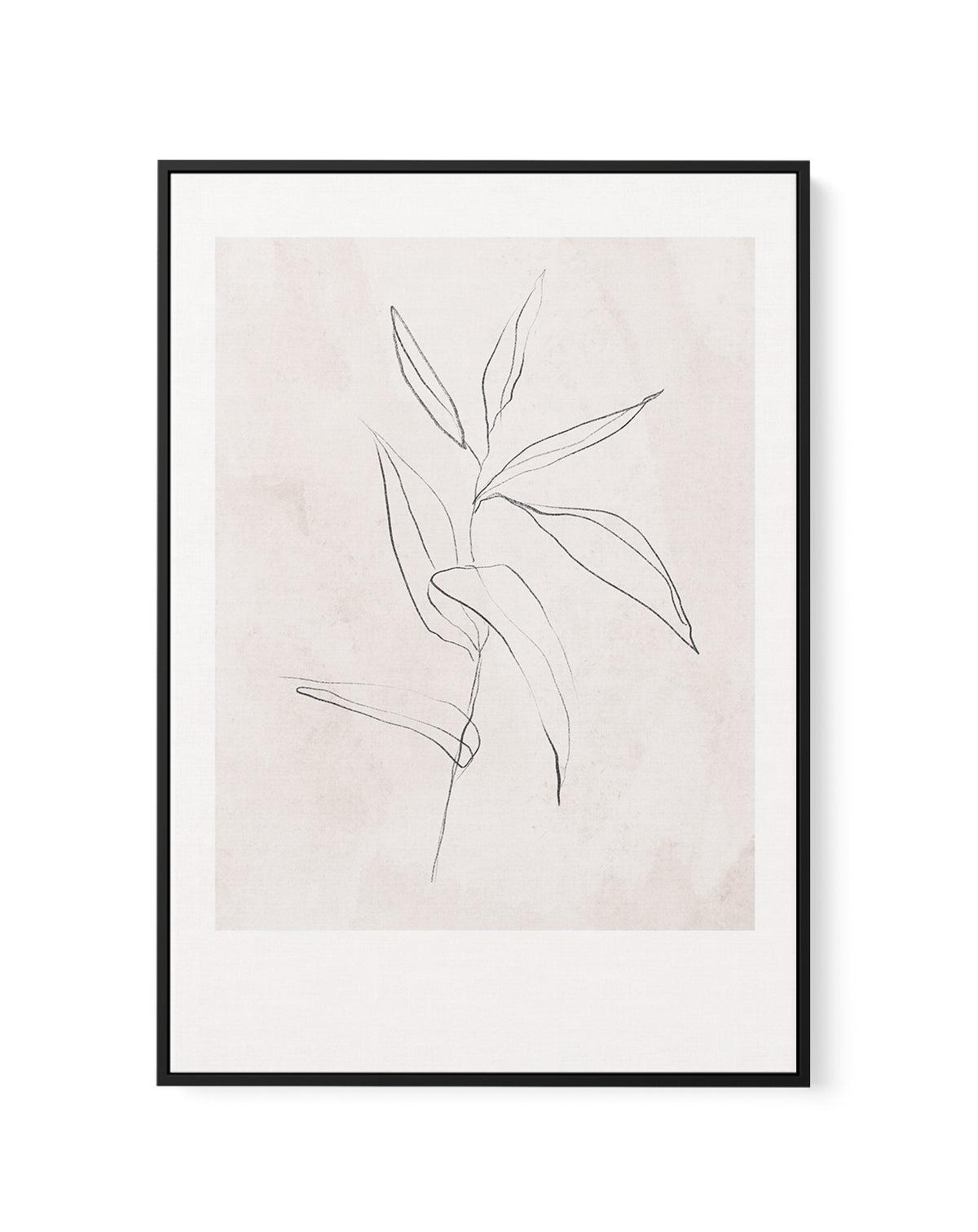 Le Jardin in Charcoal III | Framed Canvas-CANVAS-You can shop wall art online with Olive et Oriel for everything from abstract art to fun kids wall art. Our beautiful modern art prints and canvas art are available from large canvas prints to wall art paintings and our proudly Australian artwork collection offers only the highest quality framed large wall art and canvas art Australia - You can buy fashion photography prints or Hampton print posters and paintings on canvas from Olive et Oriel and 