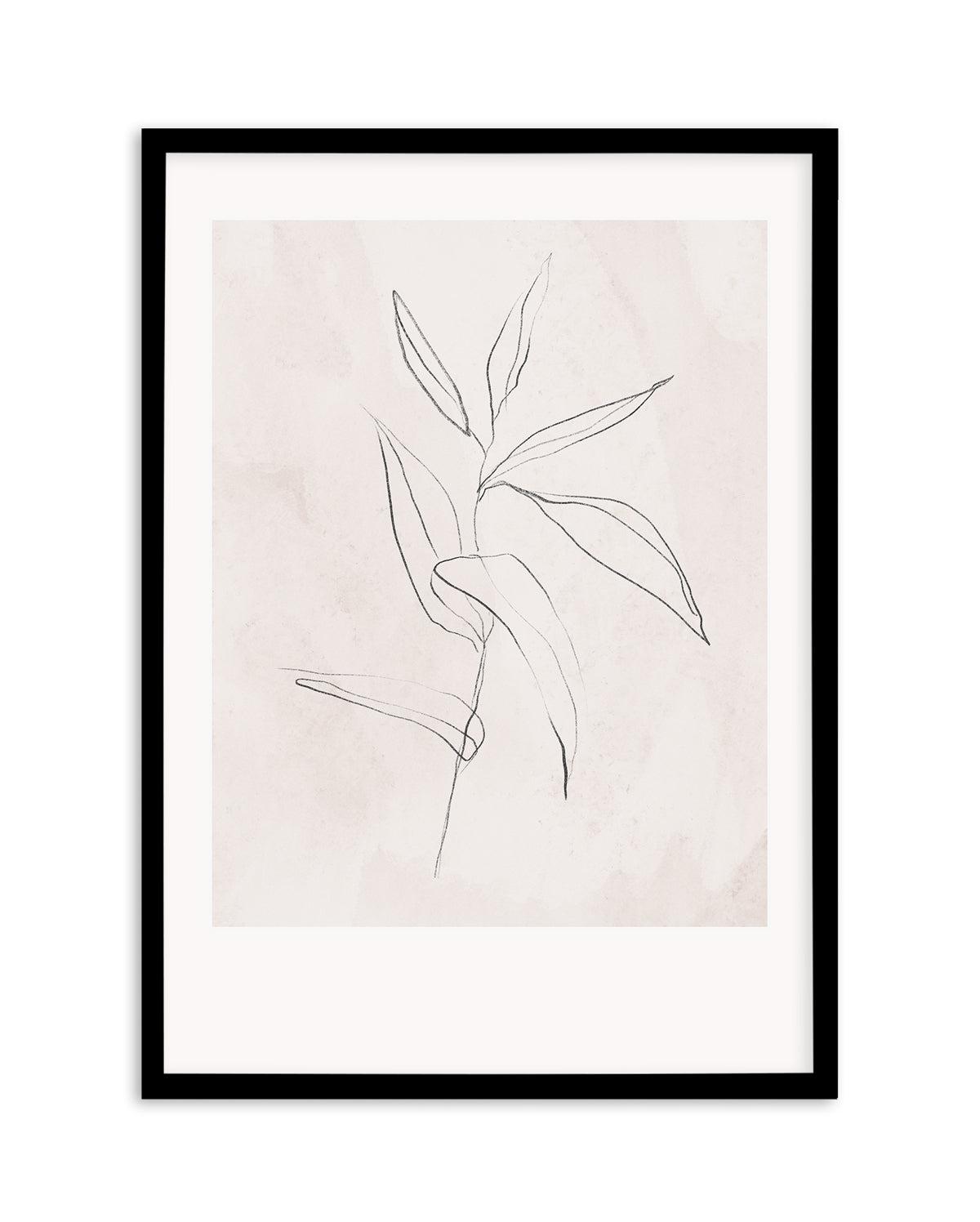 Le Jardin in Charcoal III Art Print-PRINT-Olive et Oriel-Olive et Oriel-Buy-Australian-Art-Prints-Online-with-Olive-et-Oriel-Your-Artwork-Specialists-Austrailia-Decorate-With-Coastal-Photo-Wall-Art-Prints-From-Our-Beach-House-Artwork-Collection-Fine-Poster-and-Framed-Artwork