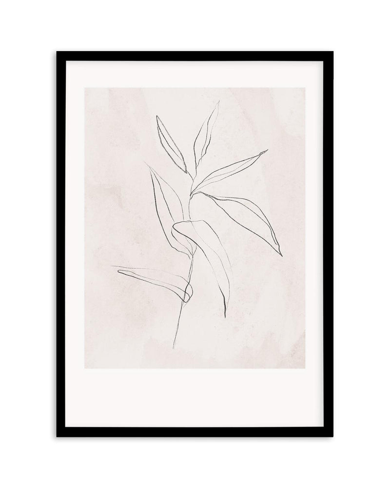 Le Jardin in Charcoal III Art Print-PRINT-Olive et Oriel-Olive et Oriel-Buy-Australian-Art-Prints-Online-with-Olive-et-Oriel-Your-Artwork-Specialists-Austrailia-Decorate-With-Coastal-Photo-Wall-Art-Prints-From-Our-Beach-House-Artwork-Collection-Fine-Poster-and-Framed-Artwork