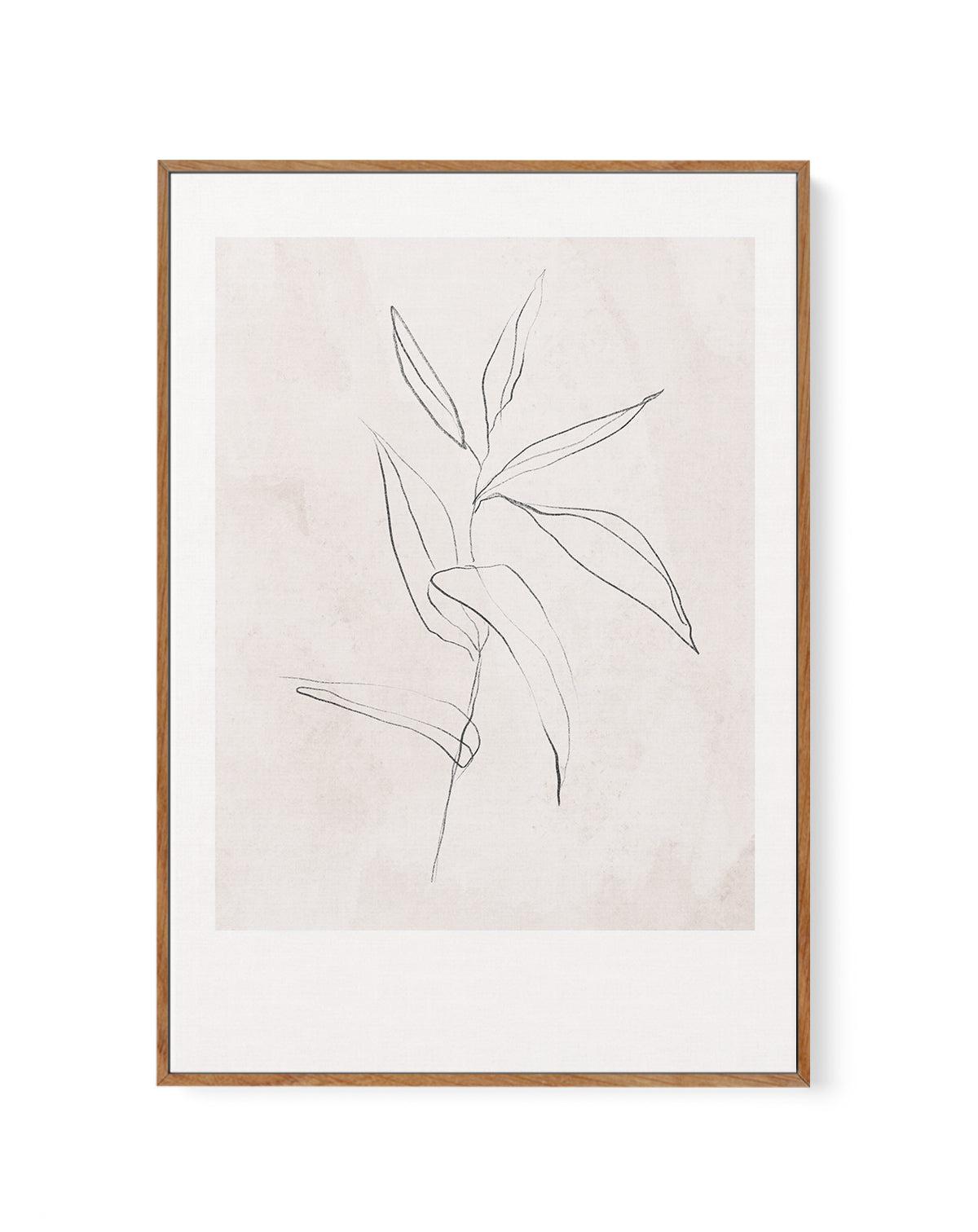 Le Jardin in Charcoal III | Framed Canvas-CANVAS-You can shop wall art online with Olive et Oriel for everything from abstract art to fun kids wall art. Our beautiful modern art prints and canvas art are available from large canvas prints to wall art paintings and our proudly Australian artwork collection offers only the highest quality framed large wall art and canvas art Australia - You can buy fashion photography prints or Hampton print posters and paintings on canvas from Olive et Oriel and 