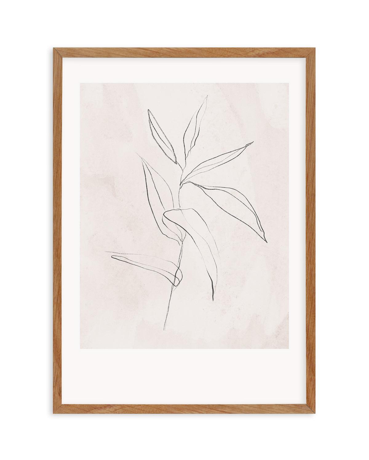 Le Jardin in Charcoal III Art Print-PRINT-Olive et Oriel-Olive et Oriel-Buy-Australian-Art-Prints-Online-with-Olive-et-Oriel-Your-Artwork-Specialists-Austrailia-Decorate-With-Coastal-Photo-Wall-Art-Prints-From-Our-Beach-House-Artwork-Collection-Fine-Poster-and-Framed-Artwork