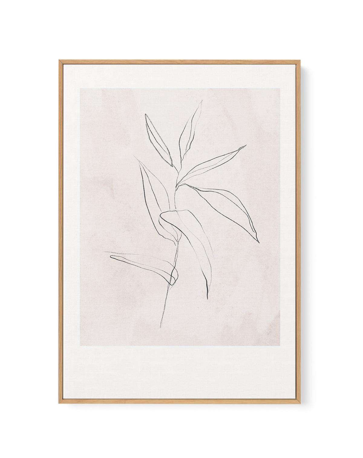 Le Jardin in Charcoal III | Framed Canvas-CANVAS-You can shop wall art online with Olive et Oriel for everything from abstract art to fun kids wall art. Our beautiful modern art prints and canvas art are available from large canvas prints to wall art paintings and our proudly Australian artwork collection offers only the highest quality framed large wall art and canvas art Australia - You can buy fashion photography prints or Hampton print posters and paintings on canvas from Olive et Oriel and 