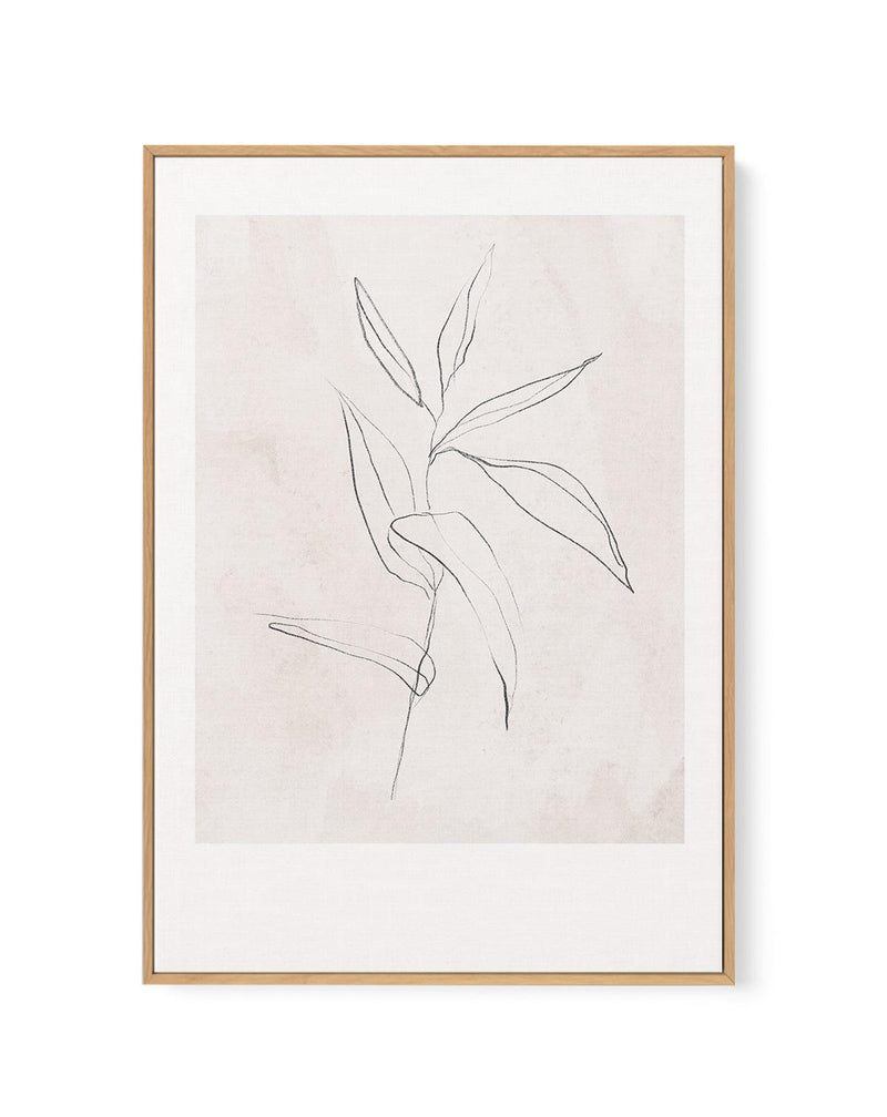 Le Jardin in Charcoal III | Framed Canvas-CANVAS-You can shop wall art online with Olive et Oriel for everything from abstract art to fun kids wall art. Our beautiful modern art prints and canvas art are available from large canvas prints to wall art paintings and our proudly Australian artwork collection offers only the highest quality framed large wall art and canvas art Australia - You can buy fashion photography prints or Hampton print posters and paintings on canvas from Olive et Oriel and 