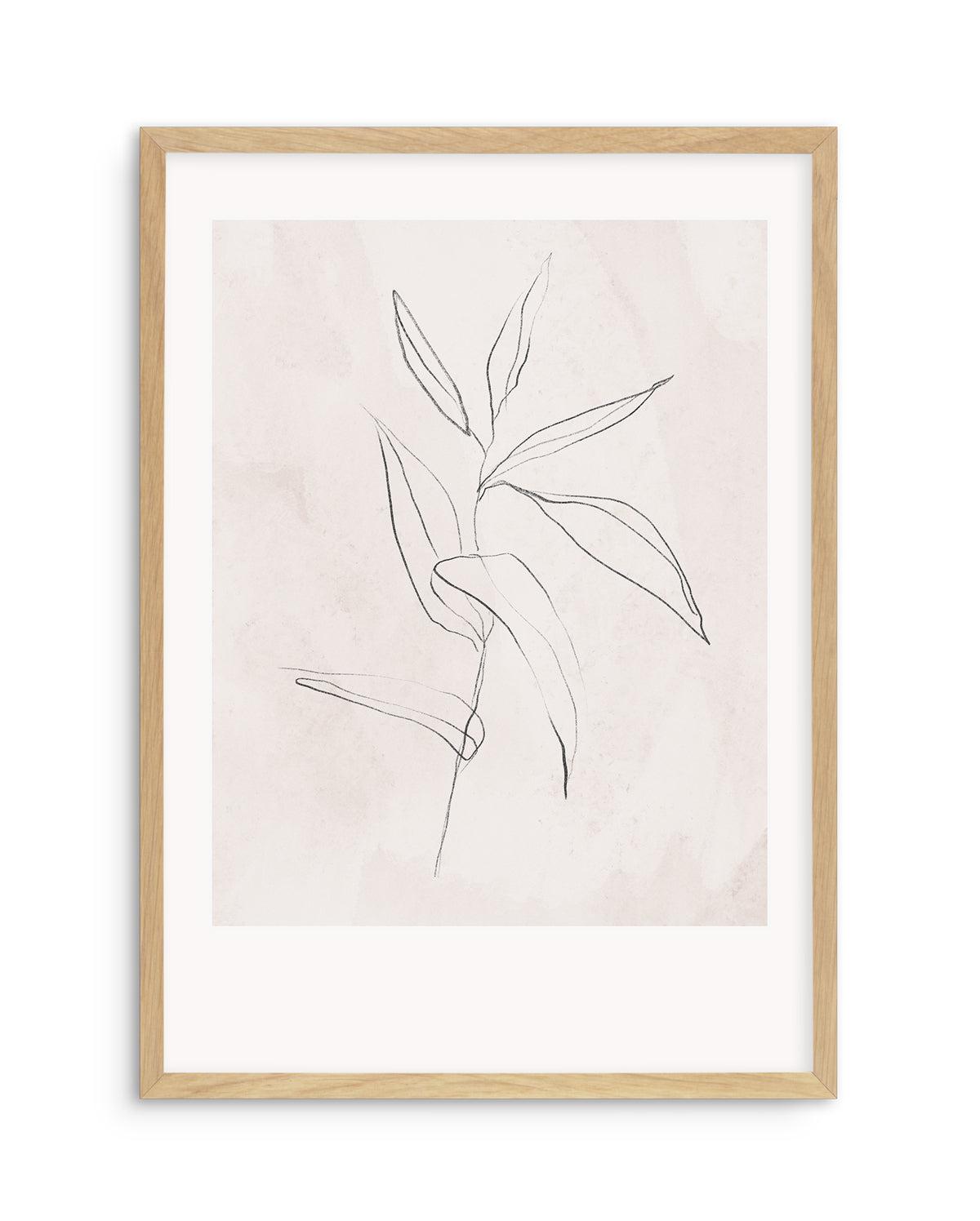 Le Jardin in Charcoal III Art Print-PRINT-Olive et Oriel-Olive et Oriel-Buy-Australian-Art-Prints-Online-with-Olive-et-Oriel-Your-Artwork-Specialists-Austrailia-Decorate-With-Coastal-Photo-Wall-Art-Prints-From-Our-Beach-House-Artwork-Collection-Fine-Poster-and-Framed-Artwork