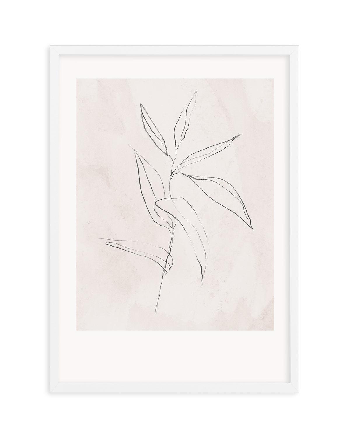 Le Jardin in Charcoal III Art Print-PRINT-Olive et Oriel-Olive et Oriel-Buy-Australian-Art-Prints-Online-with-Olive-et-Oriel-Your-Artwork-Specialists-Austrailia-Decorate-With-Coastal-Photo-Wall-Art-Prints-From-Our-Beach-House-Artwork-Collection-Fine-Poster-and-Framed-Artwork