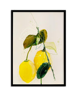 Lemon by Leigh Viner Art Print-PRINT-Olive et Oriel-Leigh Viner-A5 | 5.8" x 8.3" | 14.8 x 21cm-Black-With White Border-Buy-Australian-Art-Prints-Online-with-Olive-et-Oriel-Your-Artwork-Specialists-Austrailia-Decorate-With-Coastal-Photo-Wall-Art-Prints-From-Our-Beach-House-Artwork-Collection-Fine-Poster-and-Framed-Artwork