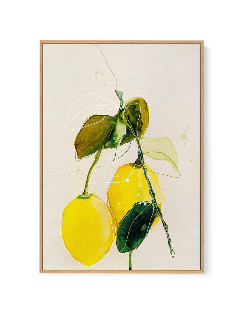 Lemon by Leigh Viner | Framed Canvas-CANVAS-You can shop wall art online with Olive et Oriel for everything from abstract art to fun kids wall art. Our beautiful modern art prints and canvas art are available from large canvas prints to wall art paintings and our proudly Australian artwork collection offers only the highest quality framed large wall art and canvas art Australia - You can buy fashion photography prints or Hampton print posters and paintings on canvas from Olive et Oriel and have 