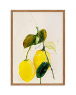 Lemon by Leigh Viner Art Print-PRINT-Olive et Oriel-Leigh Viner-50x70 cm | 19.6" x 27.5"-Walnut-With White Border-Buy-Australian-Art-Prints-Online-with-Olive-et-Oriel-Your-Artwork-Specialists-Austrailia-Decorate-With-Coastal-Photo-Wall-Art-Prints-From-Our-Beach-House-Artwork-Collection-Fine-Poster-and-Framed-Artwork