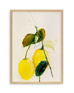 Lemon by Leigh Viner Art Print-PRINT-Olive et Oriel-Leigh Viner-A5 | 5.8" x 8.3" | 14.8 x 21cm-Oak-With White Border-Buy-Australian-Art-Prints-Online-with-Olive-et-Oriel-Your-Artwork-Specialists-Austrailia-Decorate-With-Coastal-Photo-Wall-Art-Prints-From-Our-Beach-House-Artwork-Collection-Fine-Poster-and-Framed-Artwork
