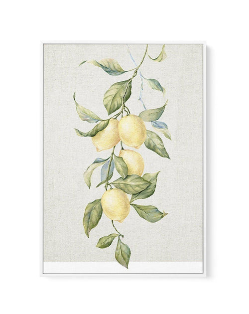 Lemons on Linen II | Framed Canvas-CANVAS-You can shop wall art online with Olive et Oriel for everything from abstract art to fun kids wall art. Our beautiful modern art prints and canvas art are available from large canvas prints to wall art paintings and our proudly Australian artwork collection offers only the highest quality framed large wall art and canvas art Australia - You can buy fashion photography prints or Hampton print posters and paintings on canvas from Olive et Oriel and have th