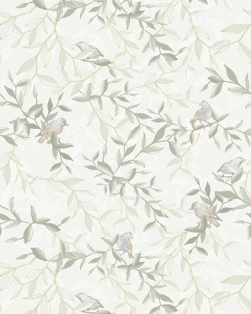 Little Birdy Wallpaper-Wallpaper-Buy Kids Removable Wallpaper Online Our Custom Made Children√¢‚Ç¨‚Ñ¢s Wallpapers Are A Fun Way To Decorate And Enhance Boys Bedroom Decor And Girls Bedrooms They Are An Amazing Addition To Your Kids Bedroom Walls Our Collection of Kids Wallpaper Is Sure To Transform Your Kids Rooms Interior Style From Pink Wallpaper To Dinosaur Wallpaper Even Marble Wallpapers For Teen Boys Shop Peel And Stick Wallpaper Online Today With Olive et Oriel