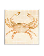 Little Bohemian Crab by Natalie Jane | Framed Canvas Art Print