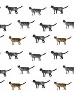 Little Brown Cat Wallpaper-Wallpaper-Buy Kids Removable Wallpaper Online Our Custom Made Children√¢‚Ç¨‚Ñ¢s Wallpapers Are A Fun Way To Decorate And Enhance Boys Bedroom Decor And Girls Bedrooms They Are An Amazing Addition To Your Kids Bedroom Walls Our Collection of Kids Wallpaper Is Sure To Transform Your Kids Rooms Interior Style From Pink Wallpaper To Dinosaur Wallpaper Even Marble Wallpapers For Teen Boys Shop Peel And Stick Wallpaper Online Today With Olive et Oriel